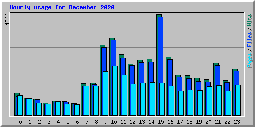 Hourly usage for December 2020